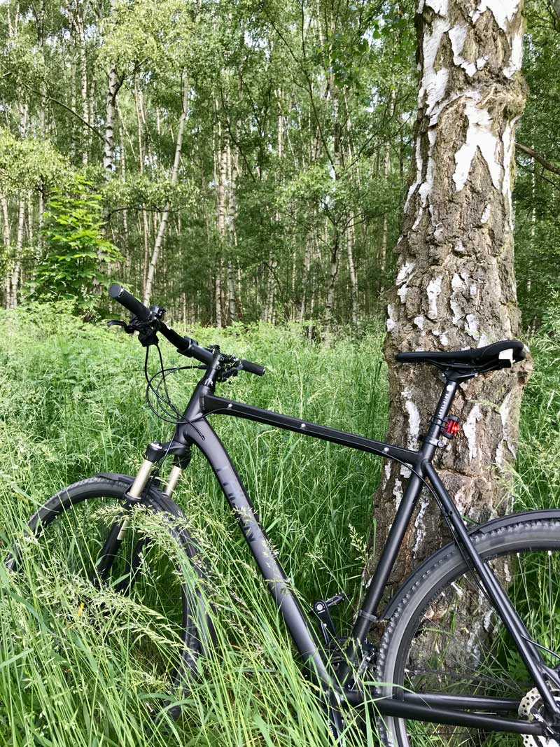 Martin Bewersdorff mit dem Fahrrad im Wald unterwegs